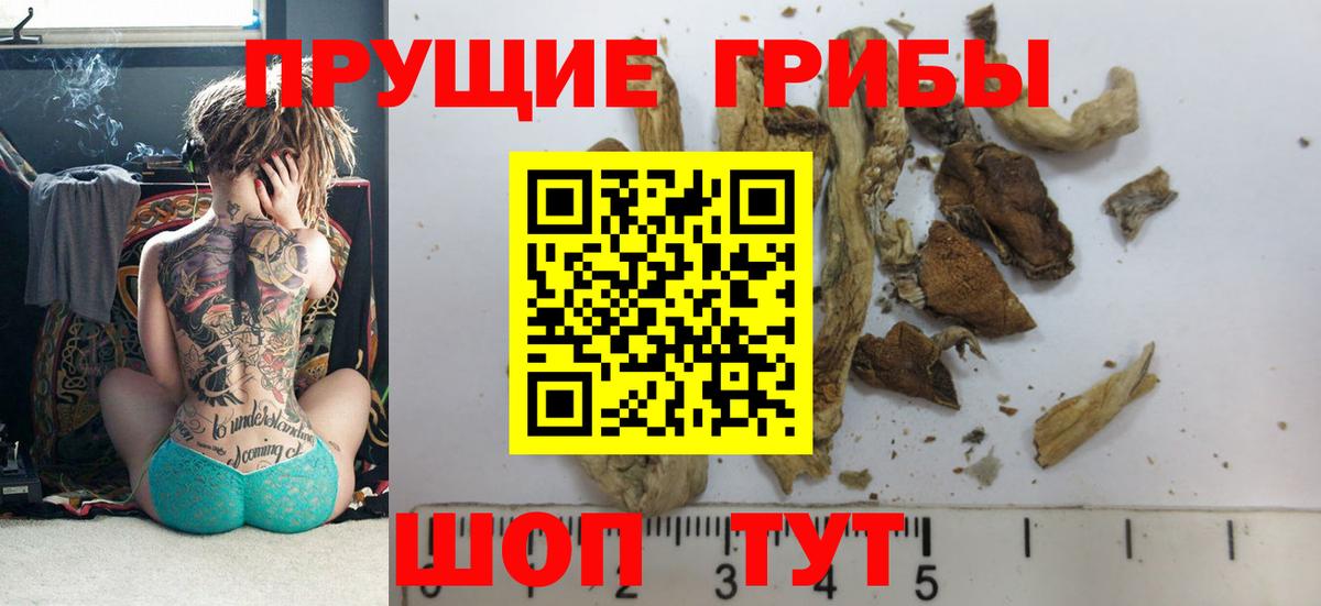 Псилоцибиновые грибы мицелий Кубинка