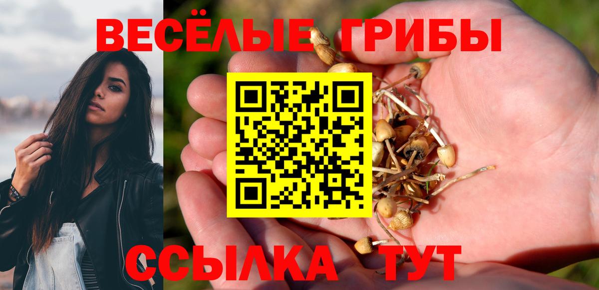 Кубинка  Галлюциногенные грибы Magic Shrooms  Вход с VPN  Псилоцибиновые грибы Psilocybine cubensis 